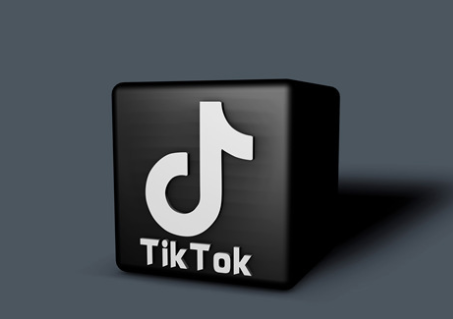 TikTok顶级网红发一条广告可能赚100万美元