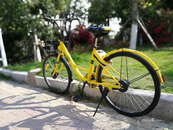  ofo或将接手 香港共享单车Gobee.bike宣布倒闭