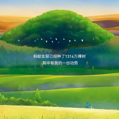 村民通过种树年赚5万 支付宝蚂蚁森林用户数已达5亿