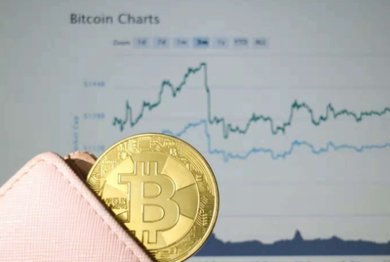分析师提示 比特币价格将达到2万美元 在2020年5月减半前，